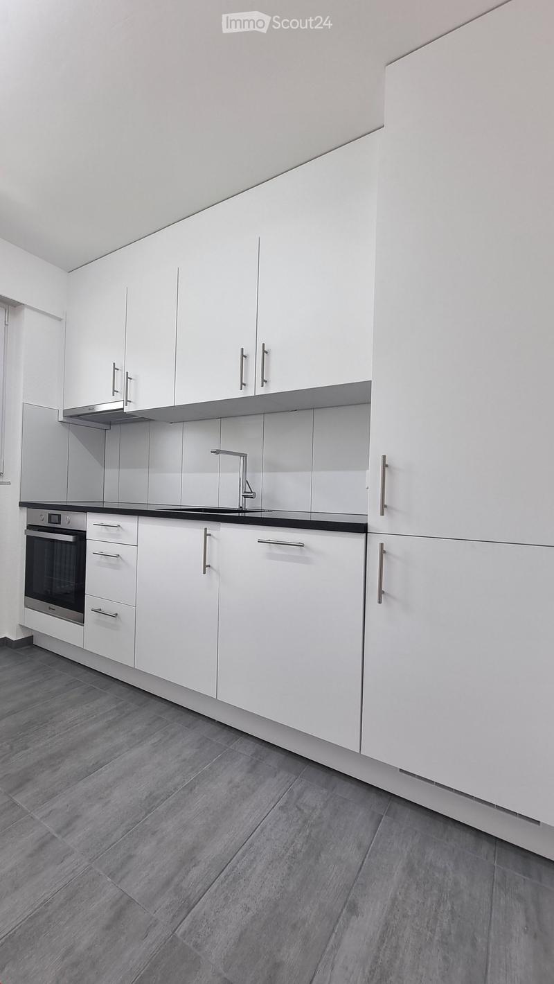 Neue, total sanierte  ( 4 Zimmer- Wohnung) mit Balkon (9)