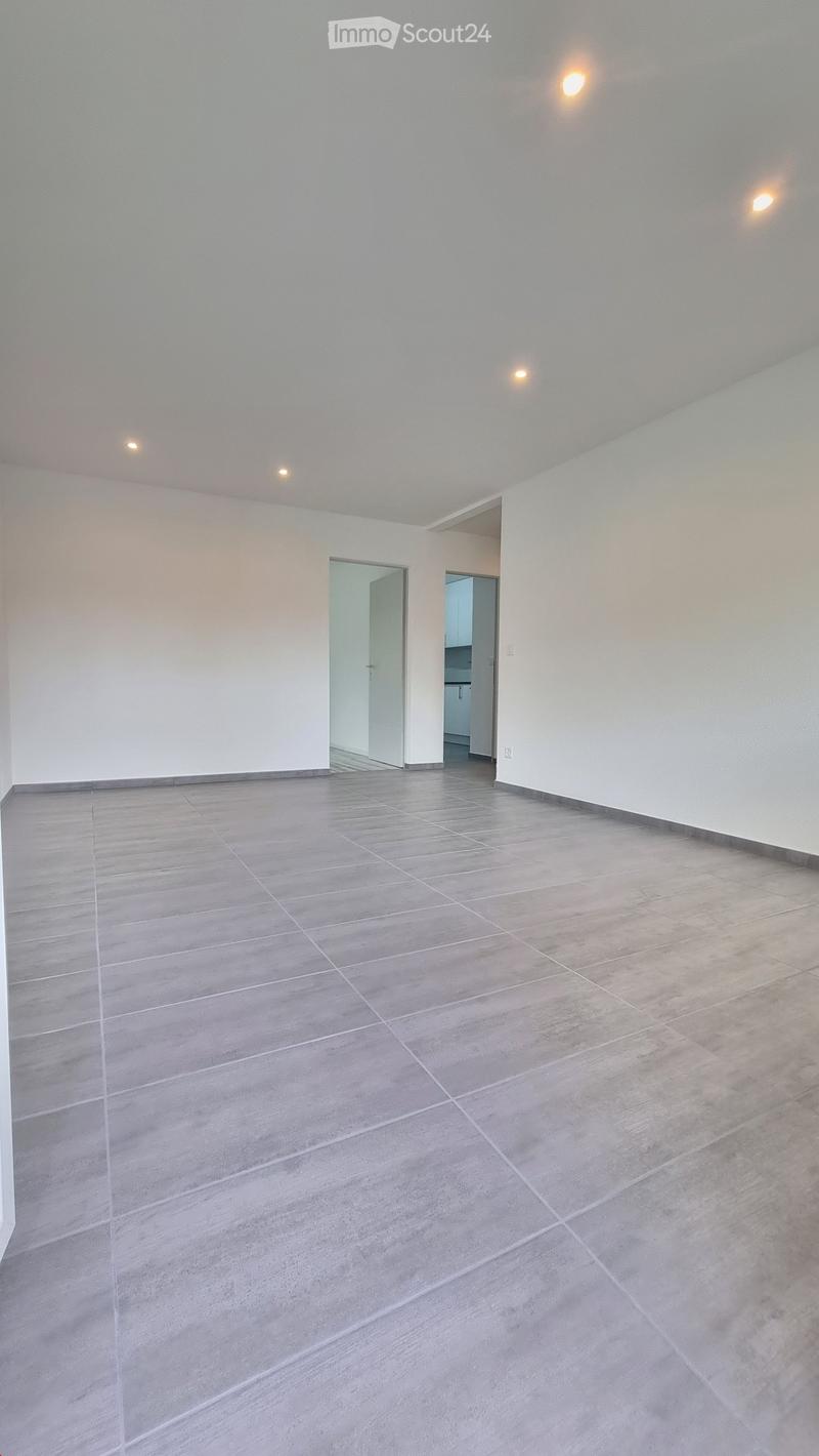Neue, total sanierte  ( 4 Zimmer- Wohnung) mit Balkon (13)