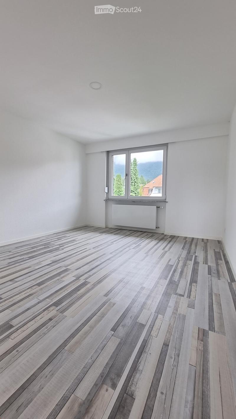 Neue, total sanierte  ( 4 Zimmer- Wohnung) mit Balkon (15)