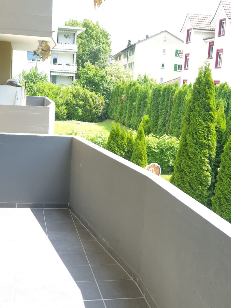 Neue, total sanierte  ( 4 Zimmer- Wohnung) mit Balkon (5)