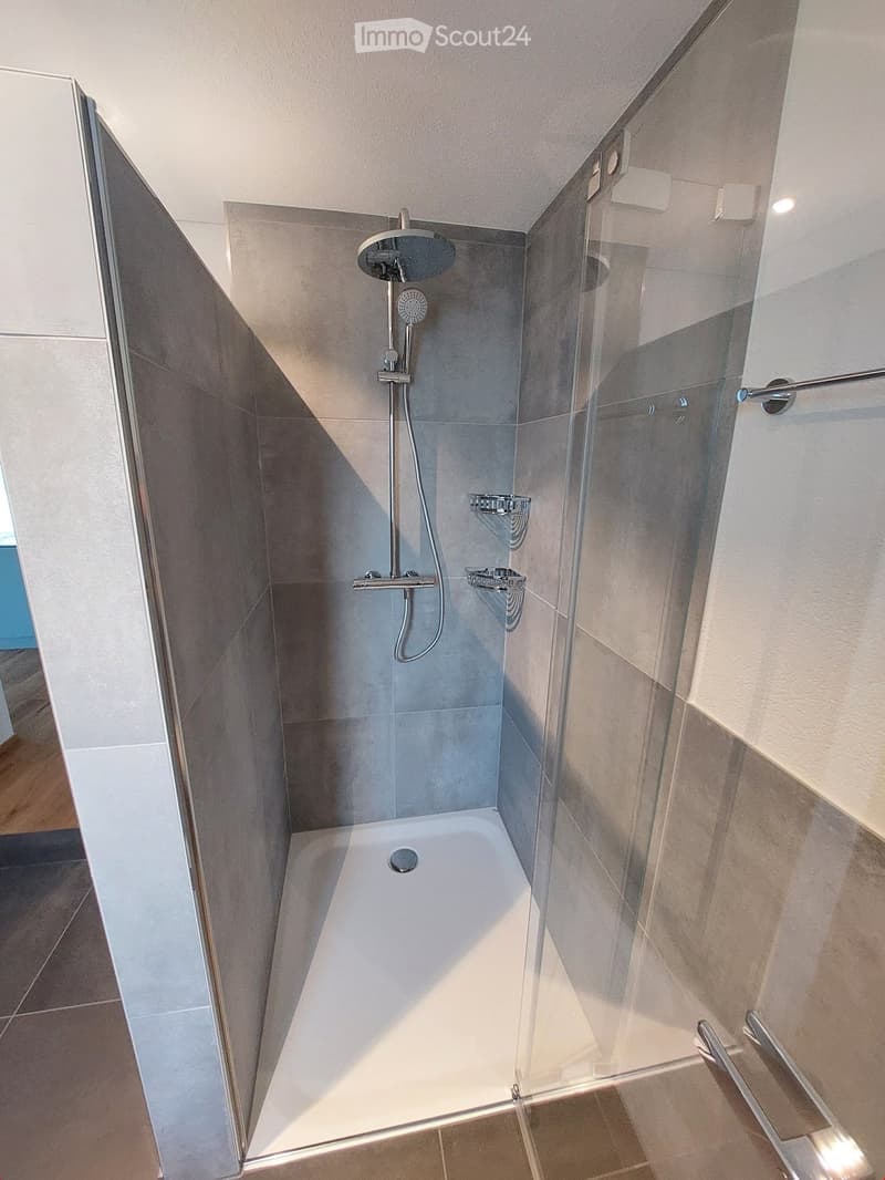 Modern bathroom with a corner bathtub, glass shower enclosure, and handheld showerhead. Features tiled walls and a towel rack.