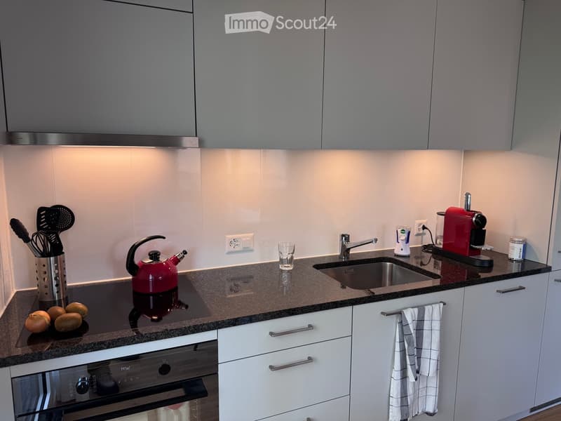 {"type": "Kitchen", "objects": ["oven", "faucet", "sink", "coffee maker", "oven mitt", "oven", "oven", "oven", "oven", "oven", "oven", "oven", "oven", "oven", "oven", "oven", "oven", "oven", "oven", "oven", "oven", "oven", "oven", "oven", "oven", "oven",