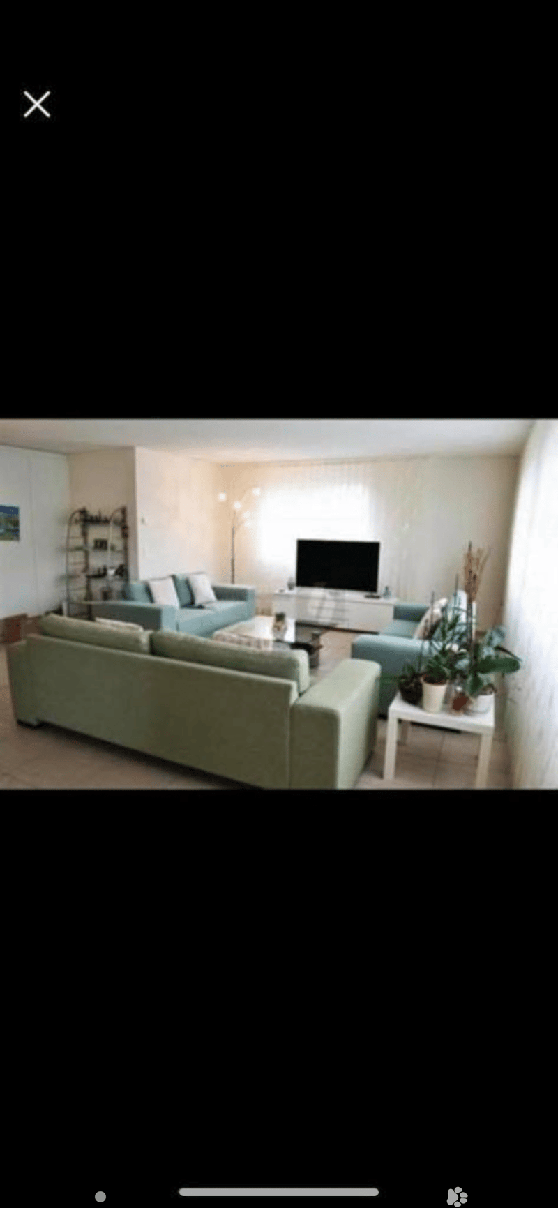 Modern living room with light-colored walls, a large sectional sofa, a coffee table, a television on a stand, side tables with potted plants, and a floor lamp.