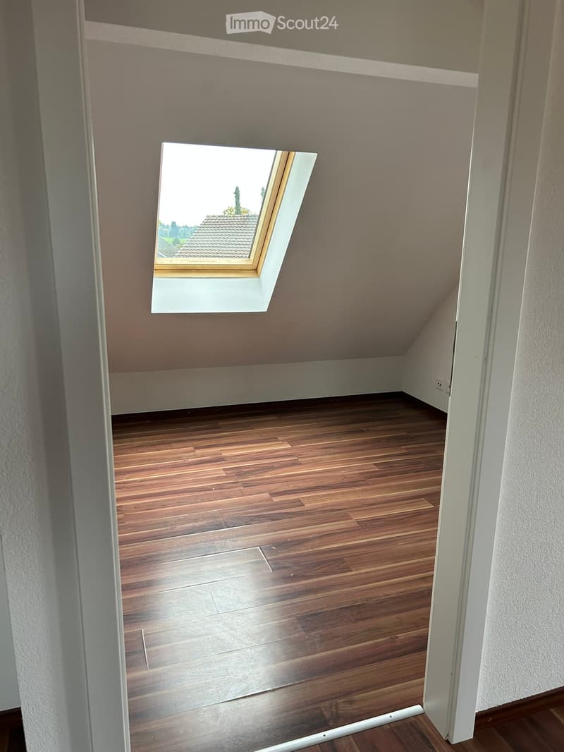 Skylight, hardwood floors, white walls, small power outlet