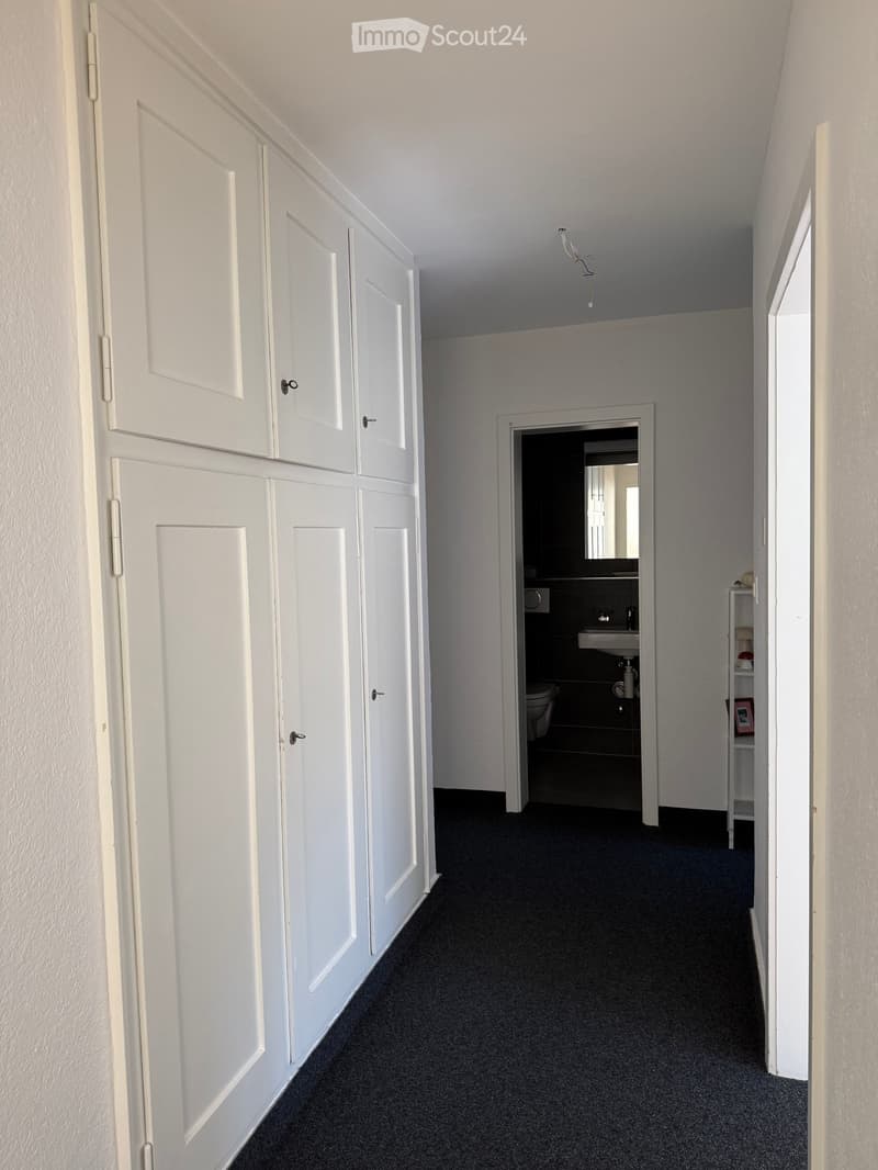 A narrow hallway with white built-in cabinets on one side and a dark carpeted floor. An open doorway leads to a small bathroom with a sink, toilet, and mirror.
