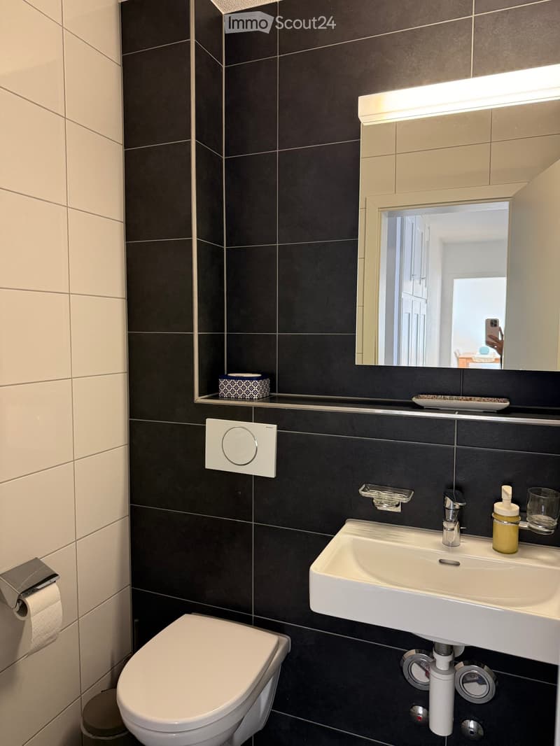 Modern bathroom with dark tiled walls, white toilet, sink, and mirror. Includes a soap dispenser, cup, and light fixture above the mirror.