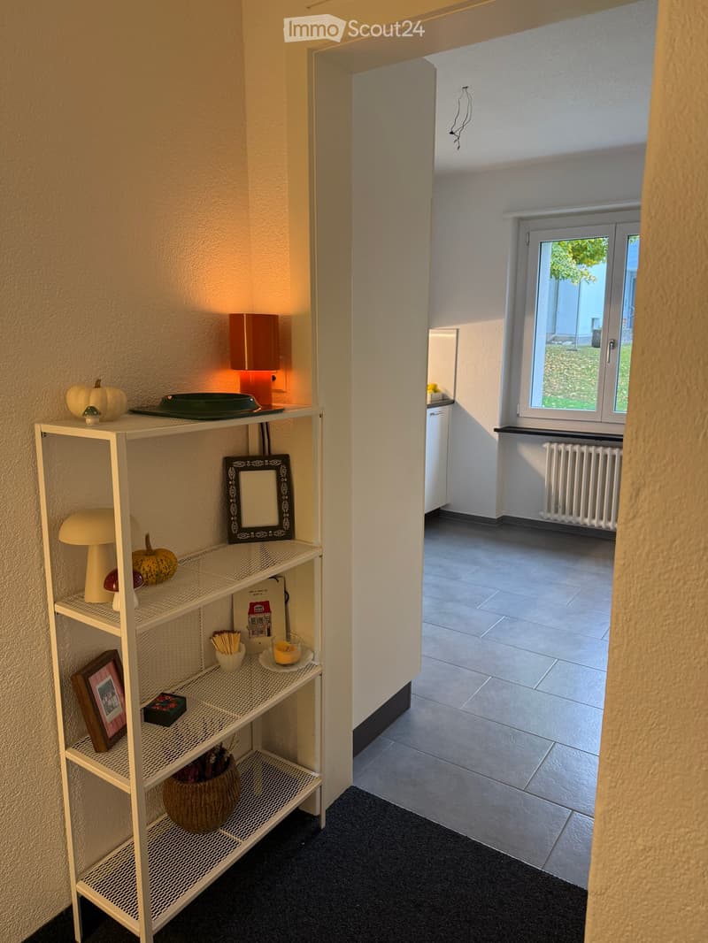 A hallway with a white metal shelf on the left, holding decorative items like lamps, picture frames, and candles. The hallway has a tiled floor and a window at the end, leading to a view of greenery outside.