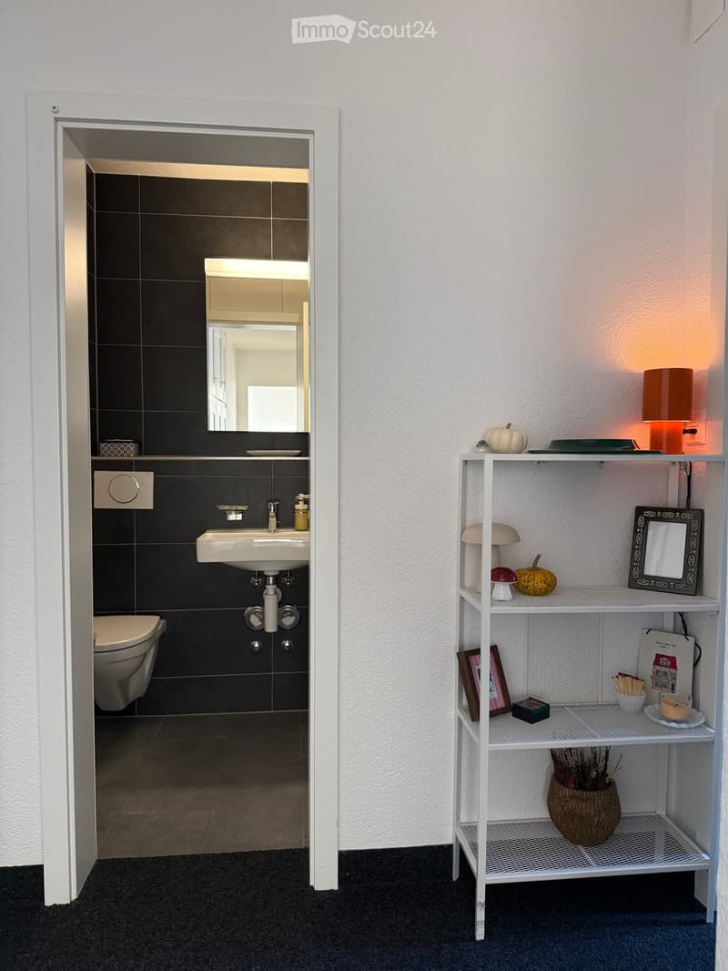 Modern bathroom with dark tiled walls, white sink, toilet, and a white shelving unit with decorative items including pumpkins, a lamp, and picture frames.