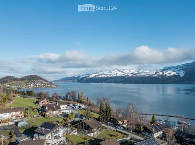 Aerial view of a lakeside village with houses, a marina, and snow-capped mountains in the background.