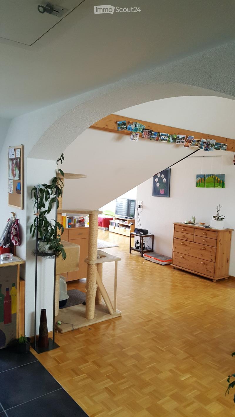Large room with wooden floor, arch ceiling, plants, cabinets, wooden drawer, carpet on floor, pictures, television, table, mat