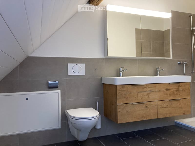 Modern bathroom with a toilet, sink, and large mirror. Features wooden cabinetry, sleek fixtures, and a contemporary design.