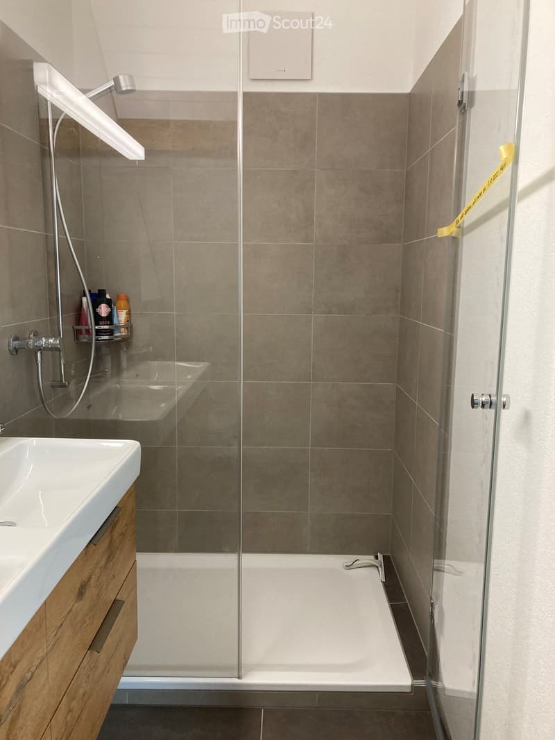 Modern bathroom with a white sink, wooden cabinet, glass-enclosed shower, bathtub, and a shower rack holding toiletries.