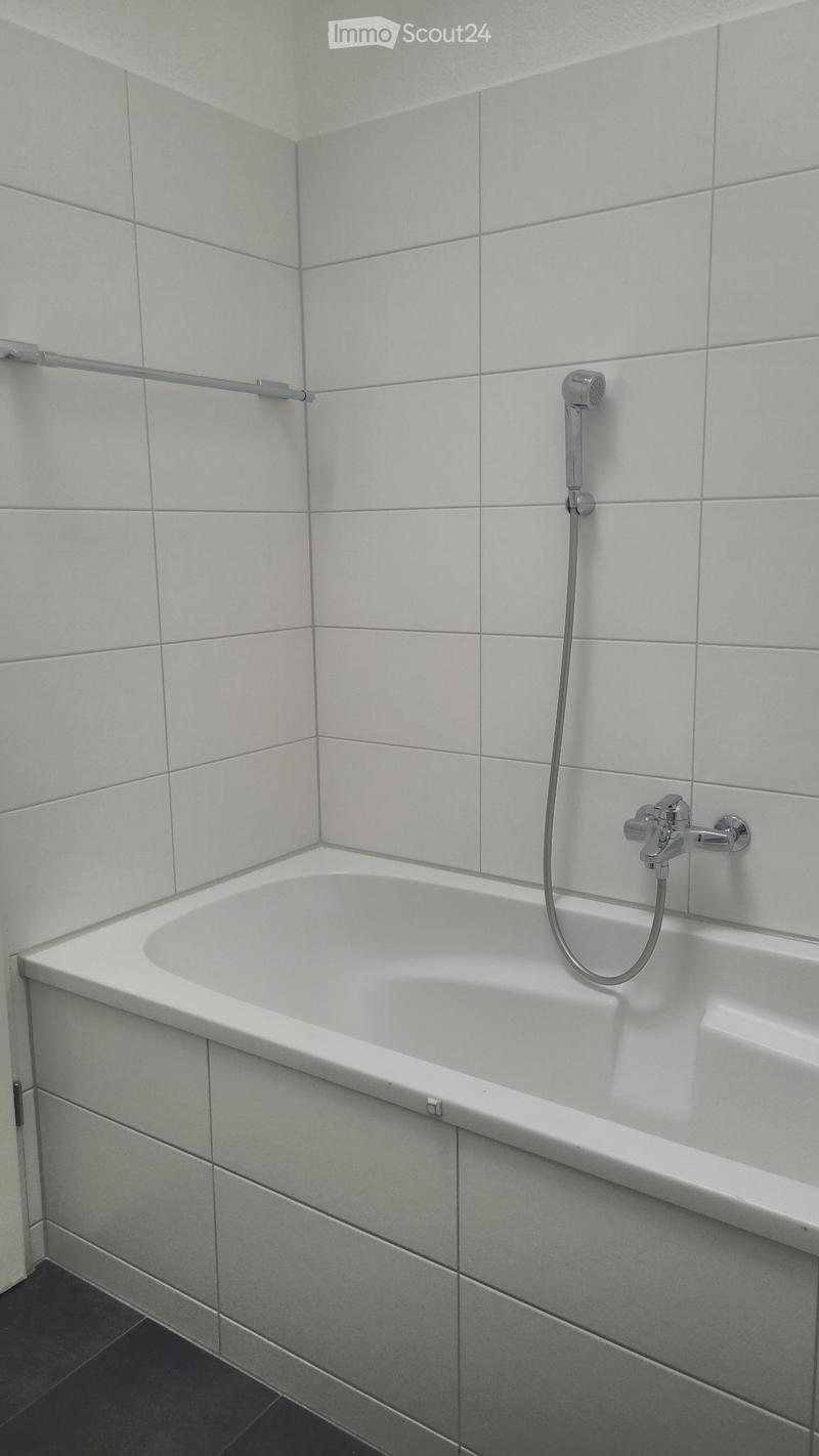 Modern bathroom with a white bathtub, chrome faucet, handheld showerhead, and a safety handrail on the wall.