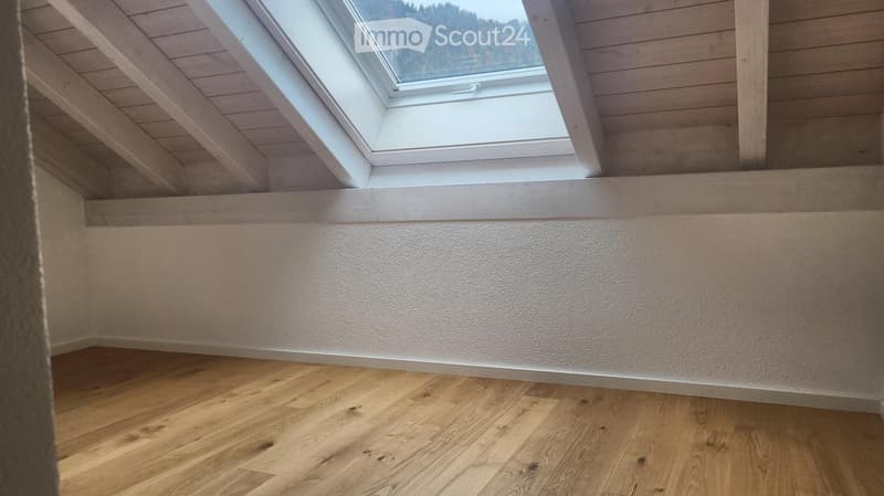 Empty attic space with wooden flooring, white walls, and a skylight window offering a view of the outdoors.
