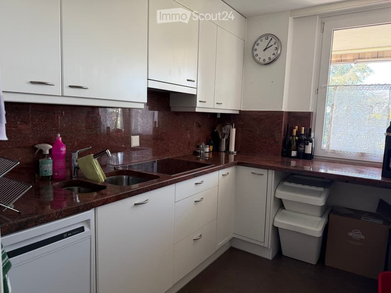 Modern kitchen with white cabinets, dark brown countertops, stainless steel sink, dishwasher, and various kitchen items including wine bottles and cleaning supplies.