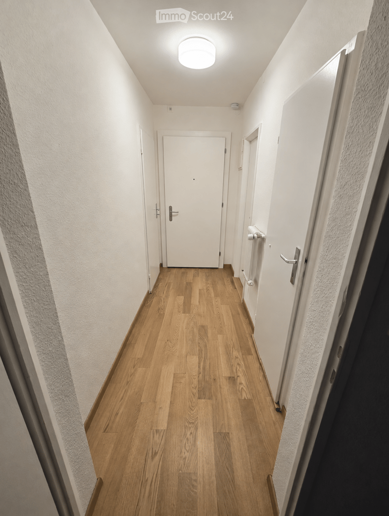 A narrow hallway with wooden flooring, white walls, and a central closed door. The ceiling features a round light fixture, and there are radiators on the right wall.