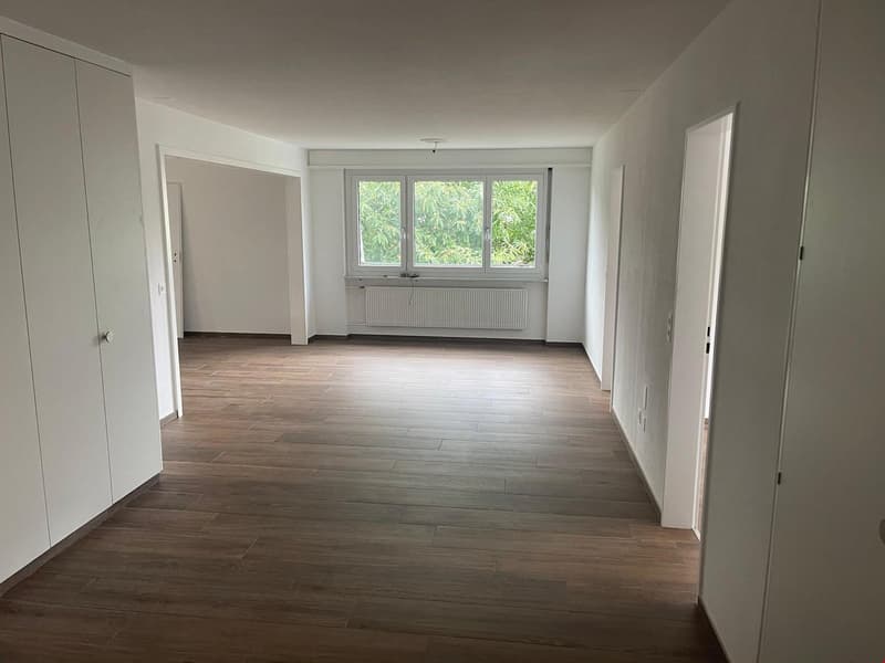 Grosse Wohnung/grand appartement (4)
