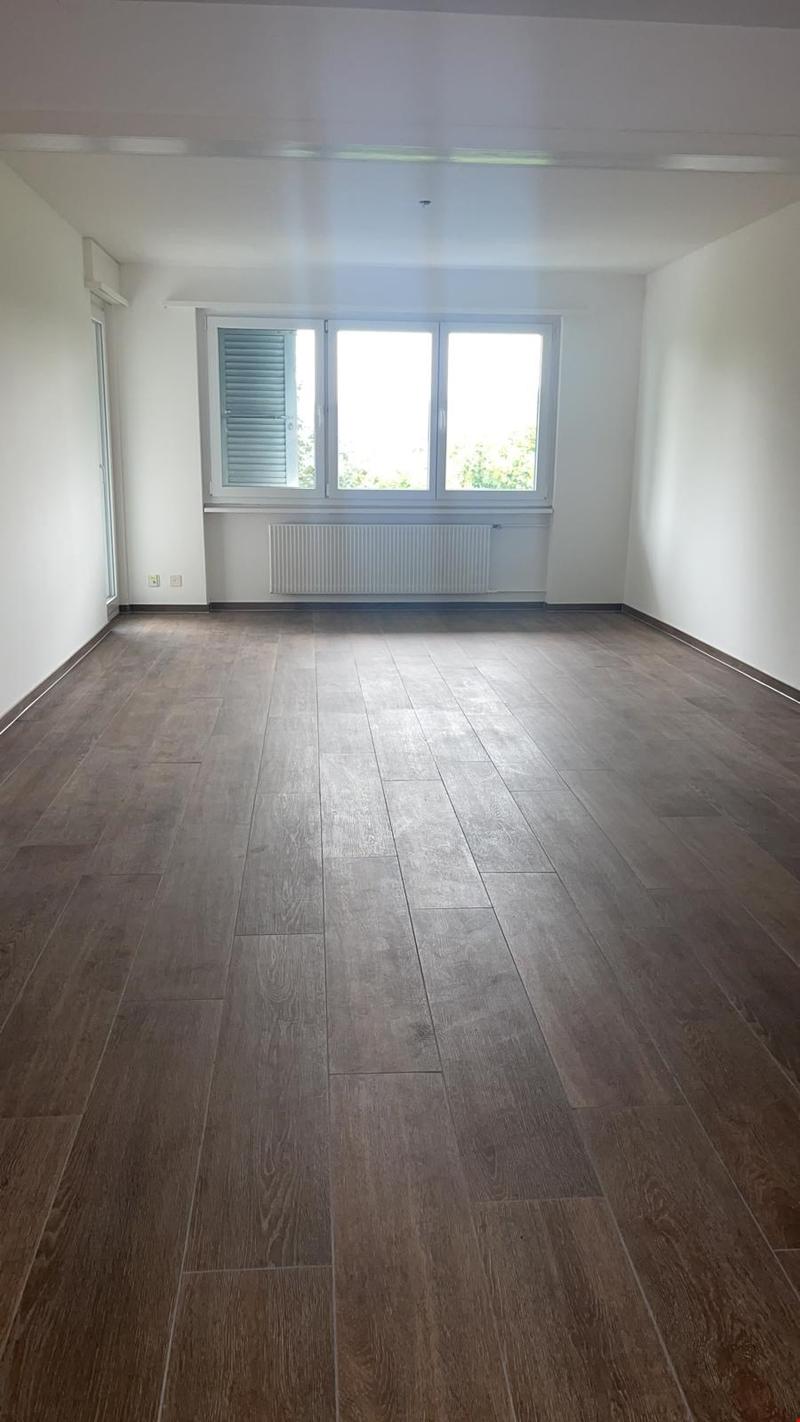Grosse Wohnung/grand appartement (7)