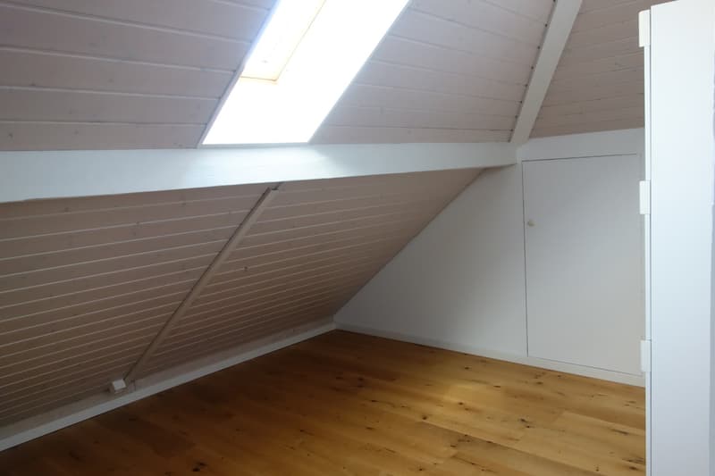 Maison individuelle spacieuse de 6 pièces à Bienne (14)