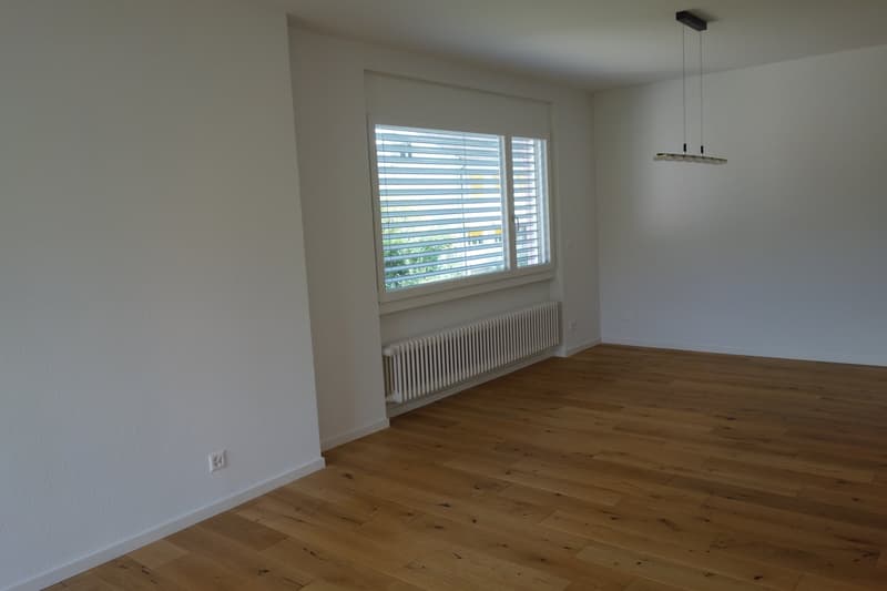 Maison individuelle spacieuse de 6 pièces à Bienne (8)