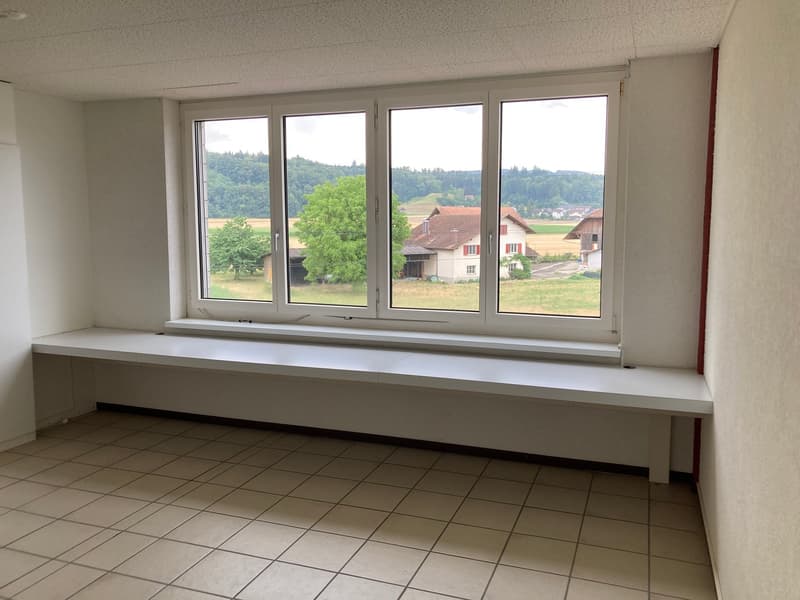 Locaux commerciaux & d'atelier à louer au Heckenweg 29 à Aarberg (8)