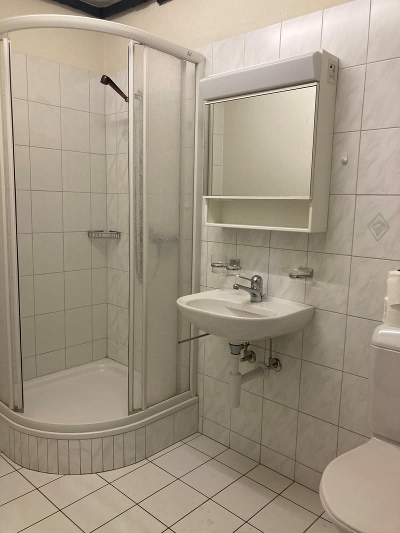 Bathroom with a shower, sink, mirror, and toilet