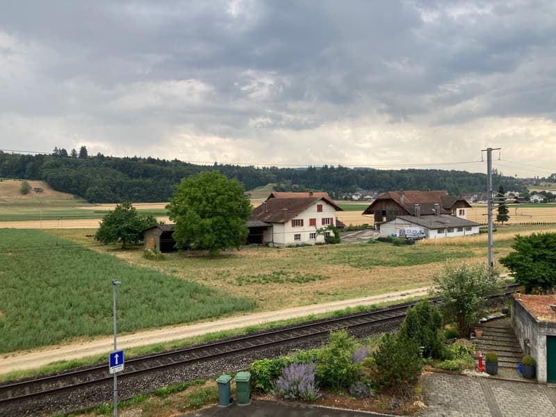 Locaux commerciaux & d'atelier à louer au Heckenweg 29 à Aarberg (12)