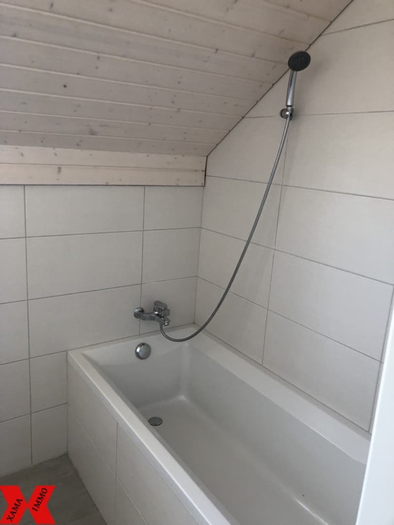 Wohnung mit 4,5 Zimmern im 2. Stock unter dem Dach (6)