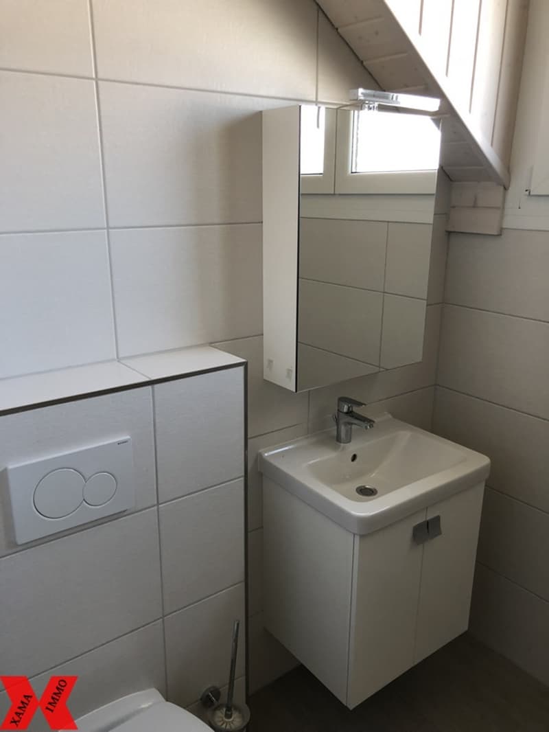 Wohnung mit 4,5 Zimmern im 2. Stock unter dem Dach (5)