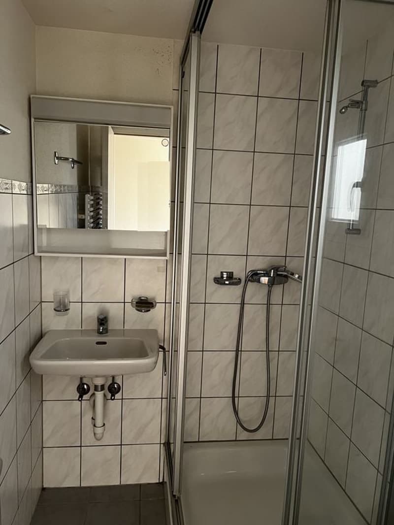 Loft-Wohnung 2,5 Zimmer, 67 m2, im 3. Stock, mit großer Terrasse (2)