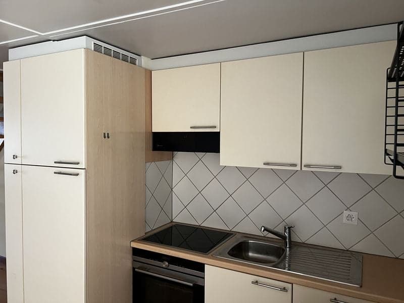Loft-Wohnung 2,5 Zimmer, 67 m2, im 3. Stock, mit großer Terrasse (1)