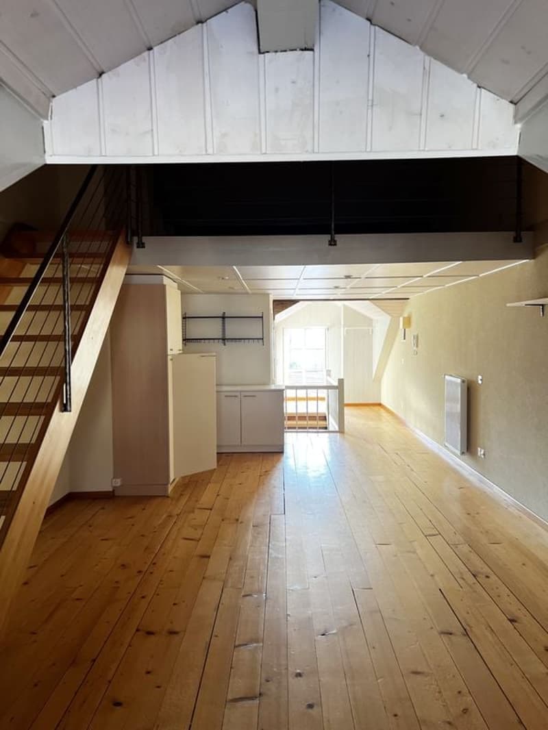 Loft-Wohnung 2,5 Zimmer, 67 m2, im 3. Stock, mit großer Terrasse (4)
