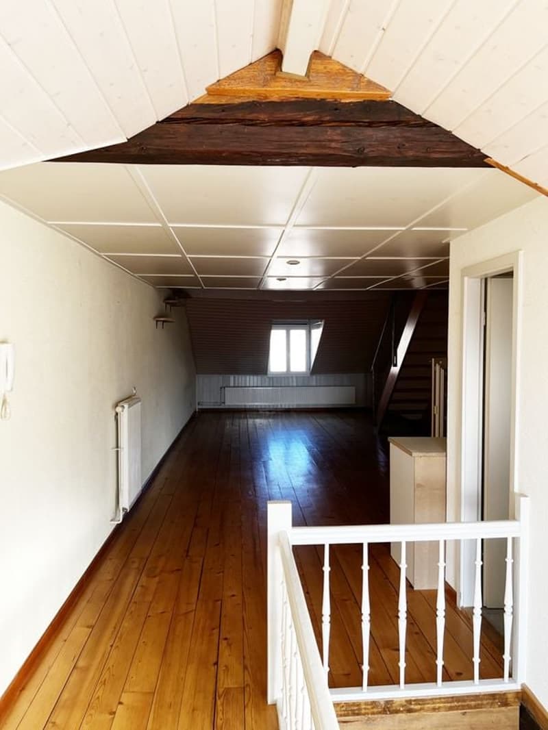 Loft-Wohnung 2,5 Zimmer, 67 m2, im 3. Stock, mit großer Terrasse (3)