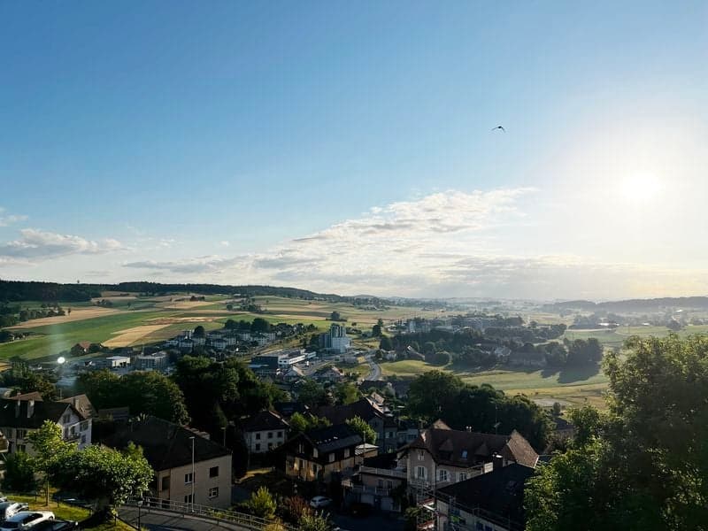 Loft-Wohnung 2,5 Zimmer, 67 m2, im 3. Stock, mit großer Terrasse (7)