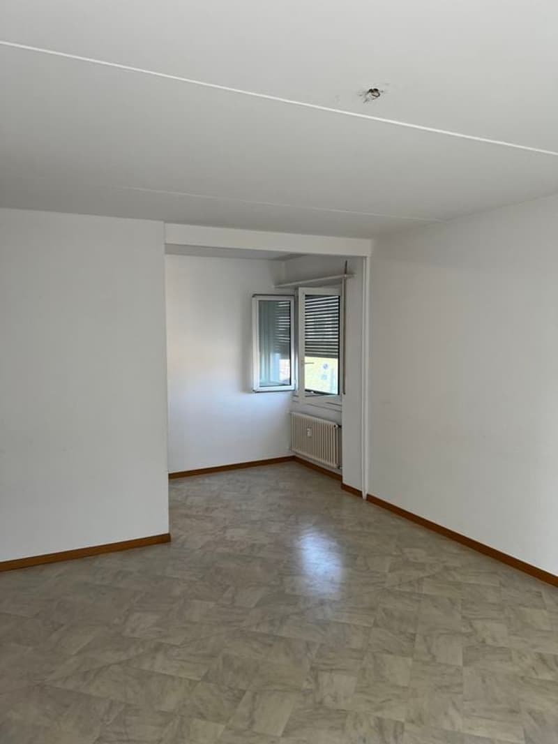 Appartements 3,5 pièces de 62 m2, rez supérieur avec grande terrasse (3)