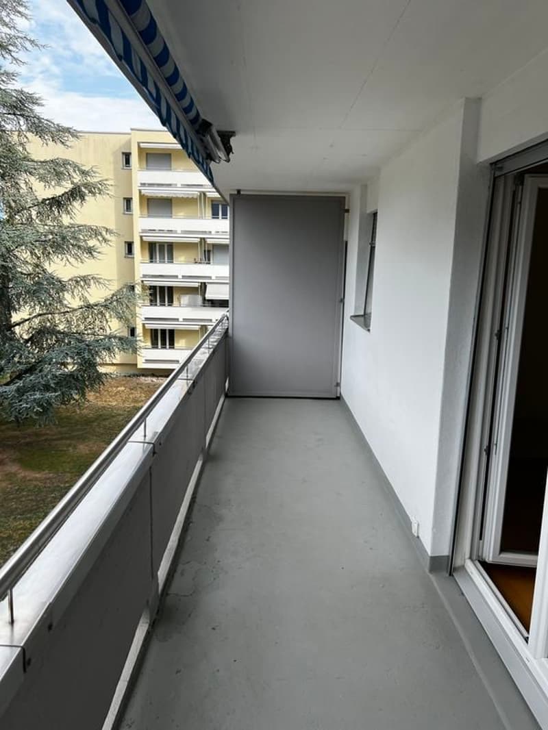 Bello appartamento di 2,5 locali di 49 m2 al 3° piano (5)