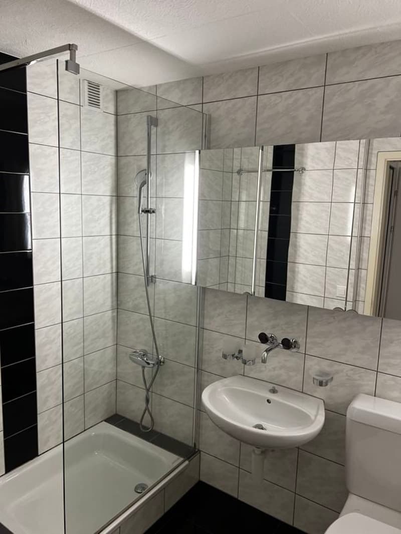 Bello appartamento di 2,5 locali di 49 m2 al 3° piano (6)