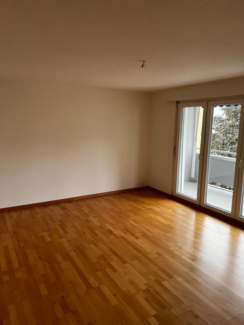 Bello appartamento di 2,5 locali di 49 m2 al 3° piano (4)