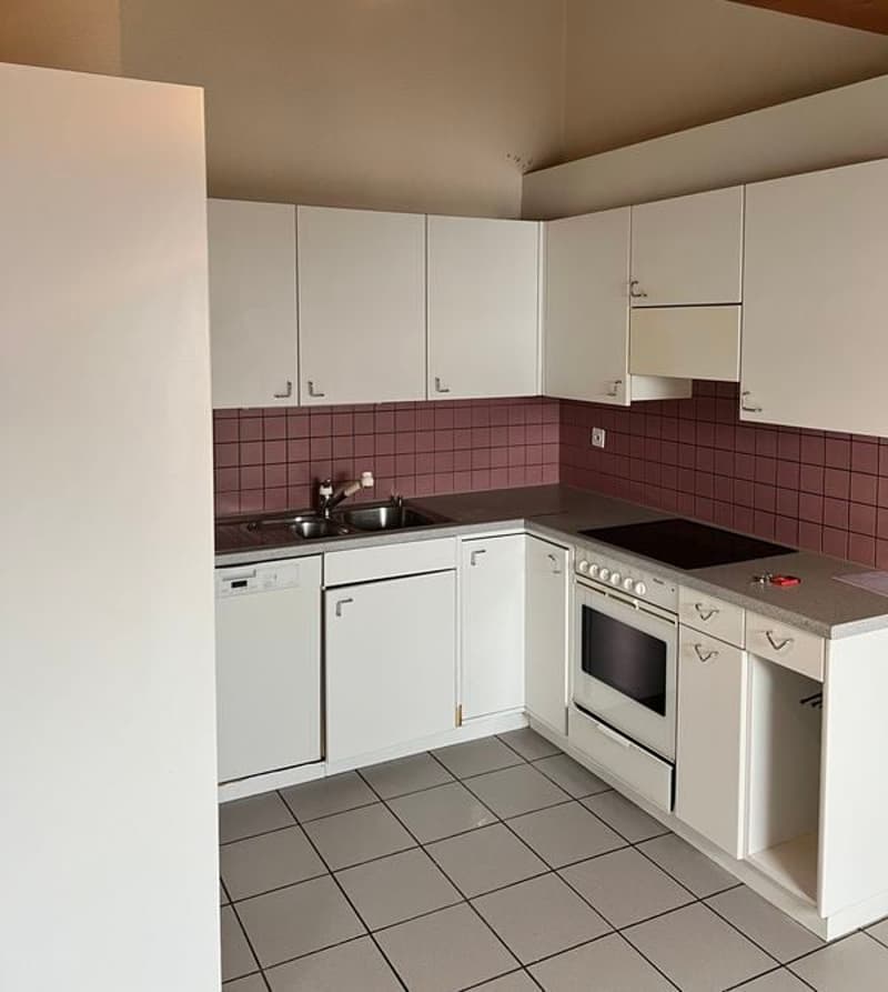 Joli appartement 2,5 pièces 53 m2 au rez-de-chaussée (1)