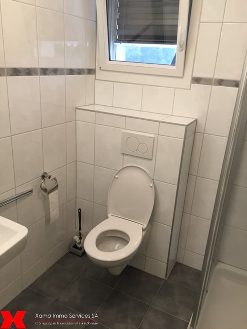 Spacieux appartement de 5.5 pièces avec balcon au 1er étage (6)