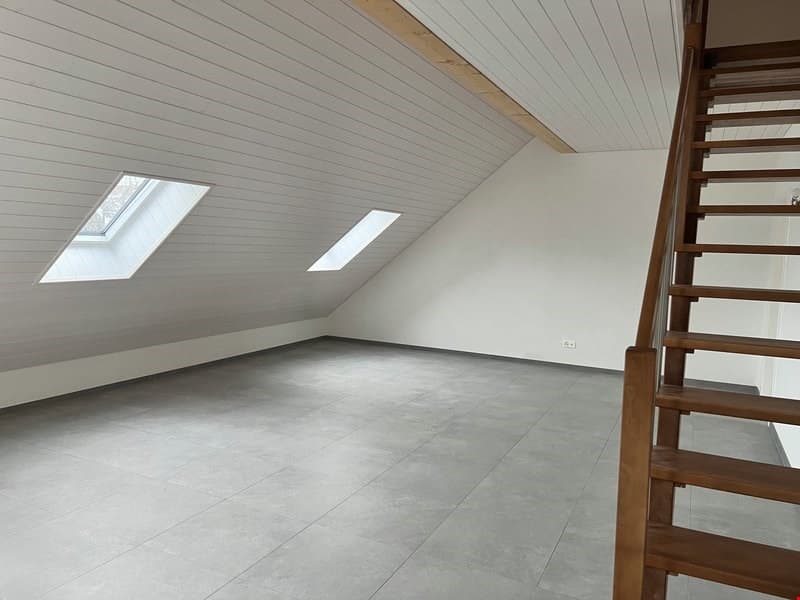 Très grand appartement de qualité 5,5 pièces en combles (3)
