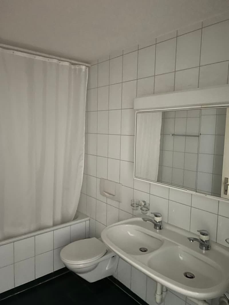 Joli appartement 3,5 pièces 100 m2 sur 2 niveaux, rez-de-chaussée et 1er étage (7)