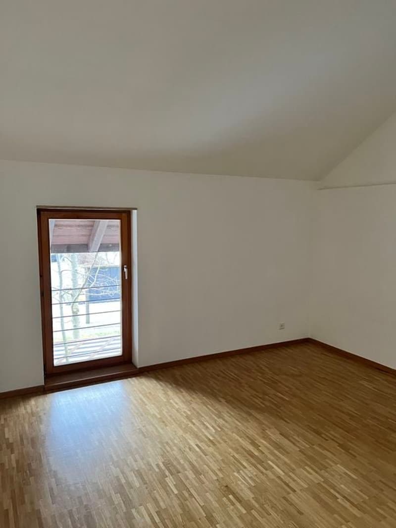 Joli appartement 3,5 pièces 100 m2 sur 2 niveaux, rez-de-chaussée et 1er étage (4)