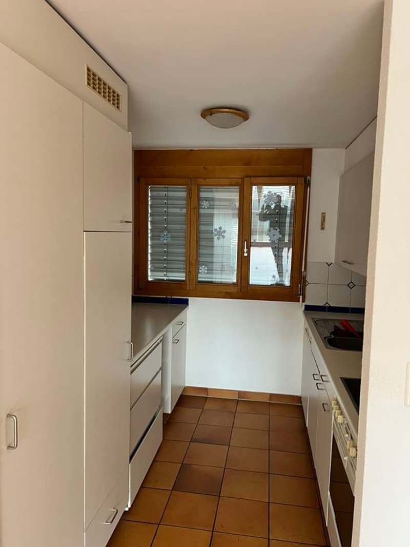 Joli appartement 3,5 pièces 100 m2 sur 2 niveaux, rez-de-chaussée et 1er étage (2)