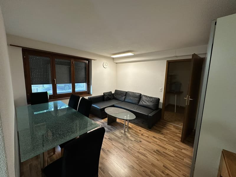 Appartement meublé de 2 pièces au rez-de-chaussée. (1)