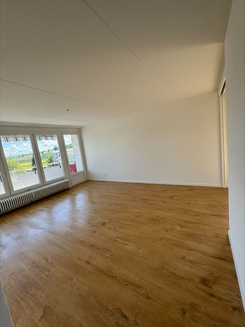 Joli appartement 4,5 pièces de 79 m2 au rez supérieur (1)
