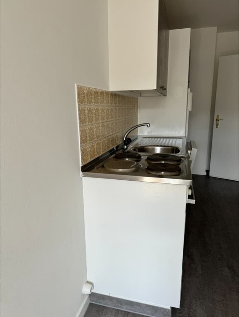 Joli appartement 4,5 pièces de 79 m2 au rez supérieur (11)
