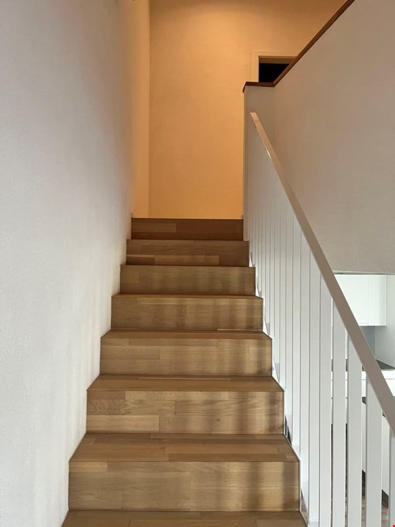 Appartement 3,5 pièces de 102m² au rez inférieur (duplex) (6)