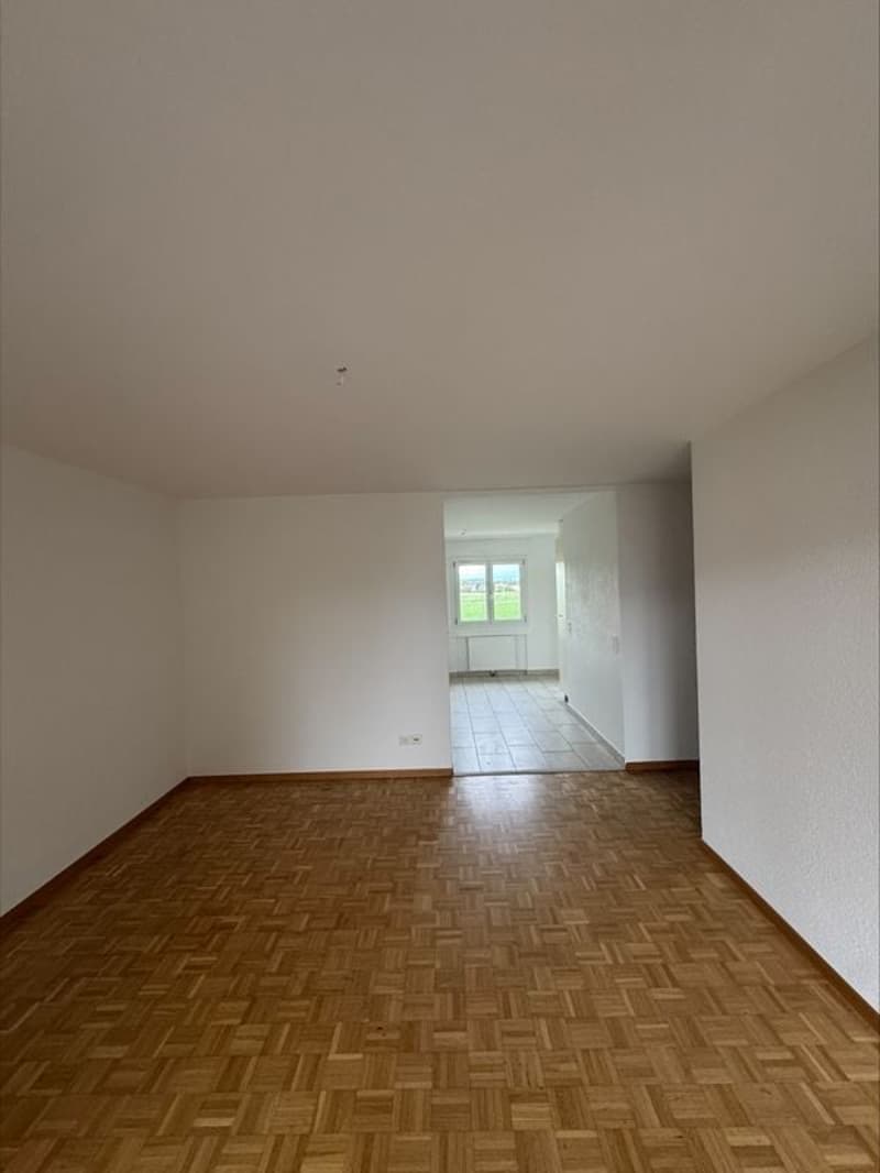 Appartement rénové de 4,5 pièces de 85m2 avec balcon, au 1er étage (6)