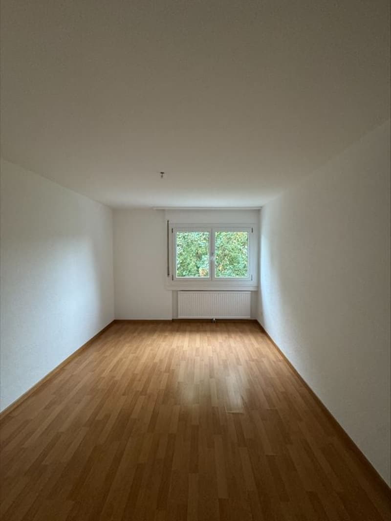 Appartement rénové de 4,5 pièces de 85m2 avec balcon, au 1er étage (9)